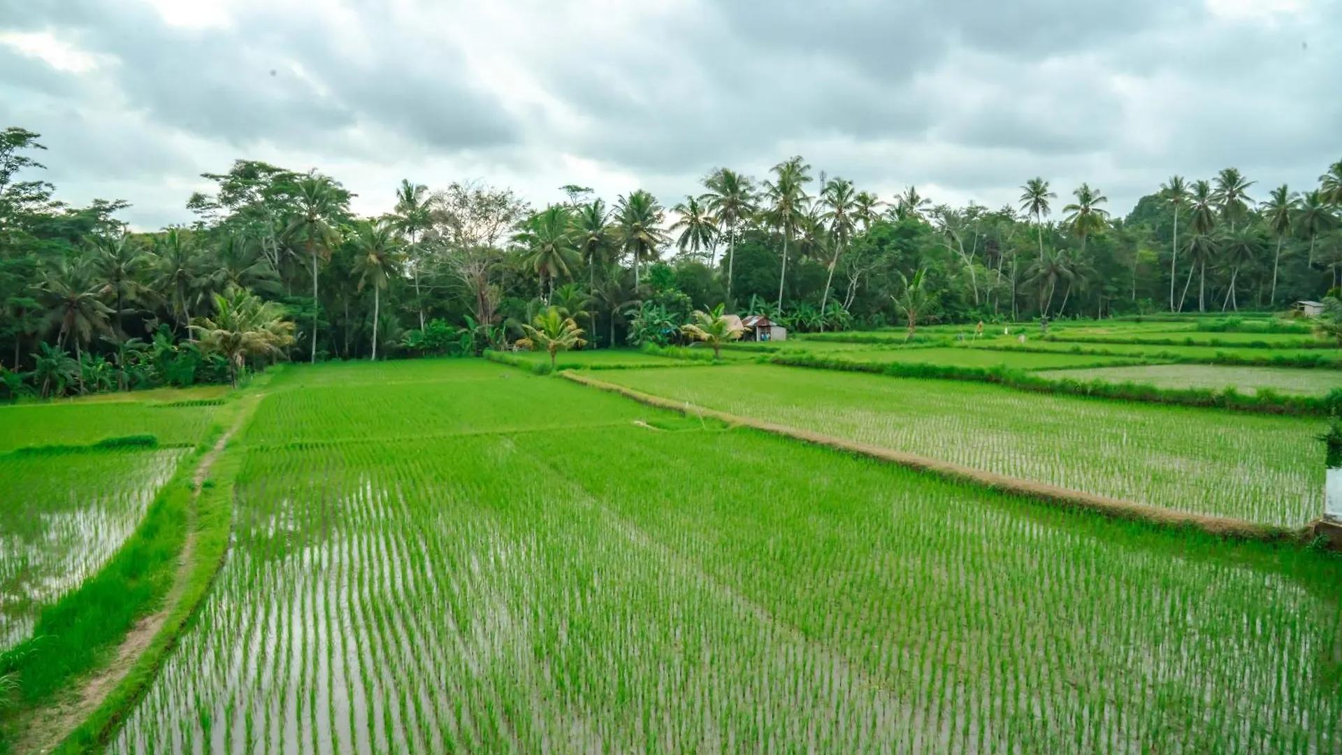 Tulus Hati Ubud Retreat